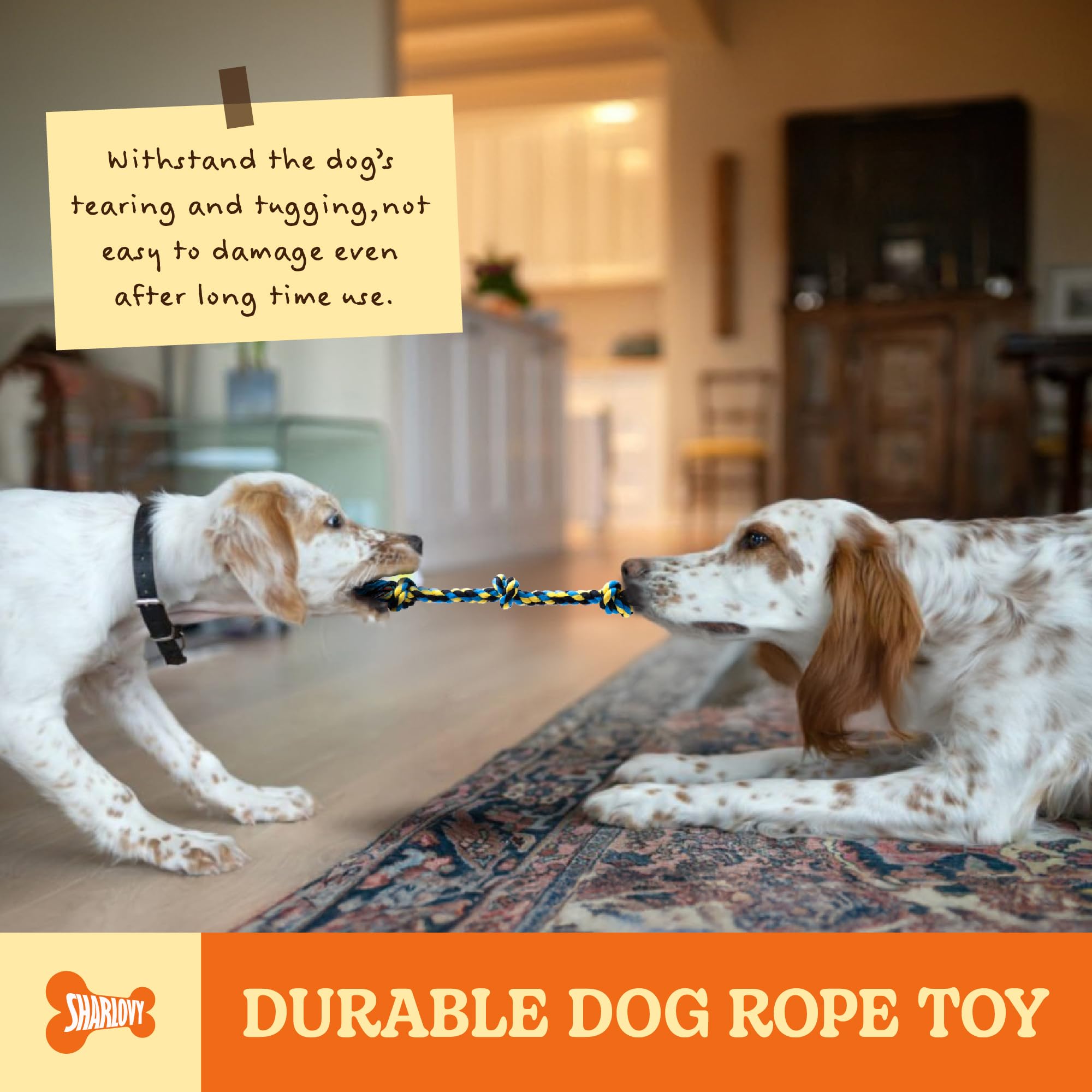 Sharlovy colorful puppy toys for aggressive chewers - engaging visuals