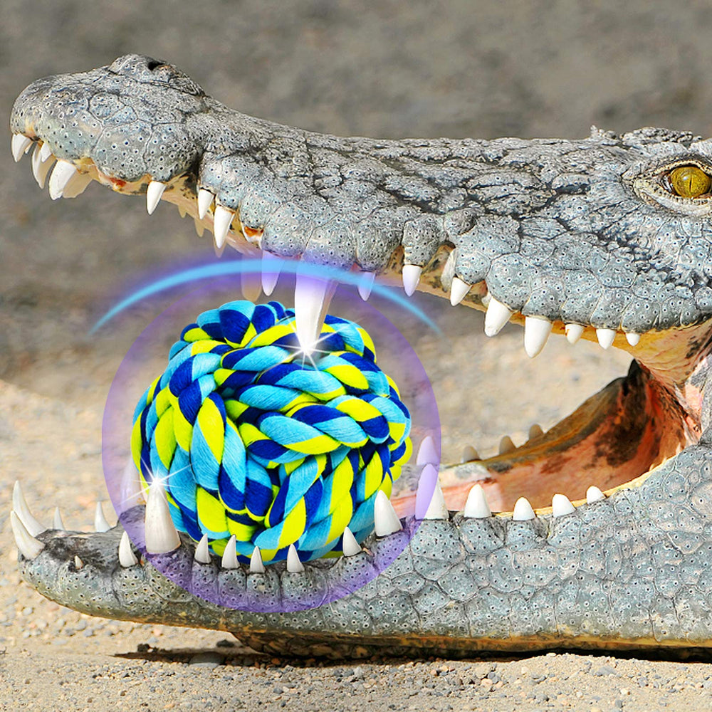 SHARLOVY supervised-play shot emphasizes safe entertainment for large dogs