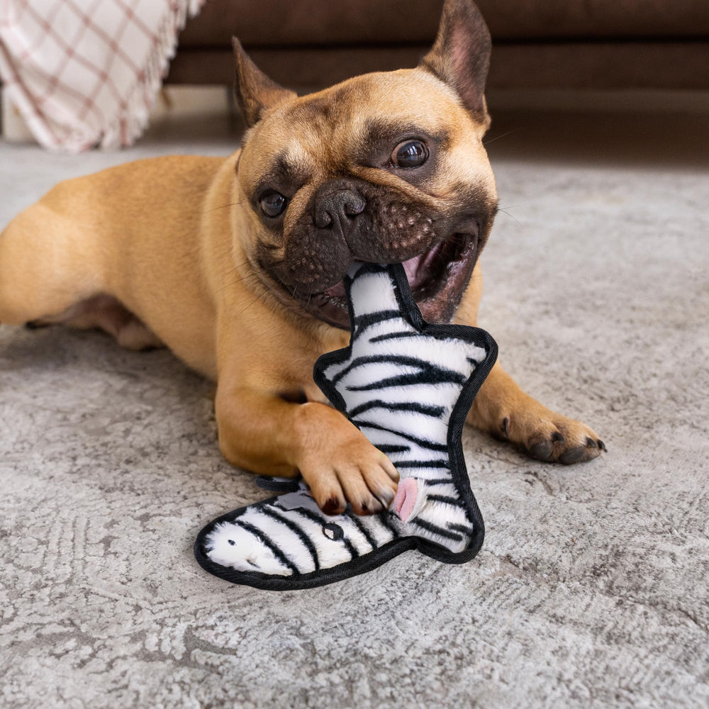 SHARLOVY Embroidered eyes detail supports safe, supervised chewing.