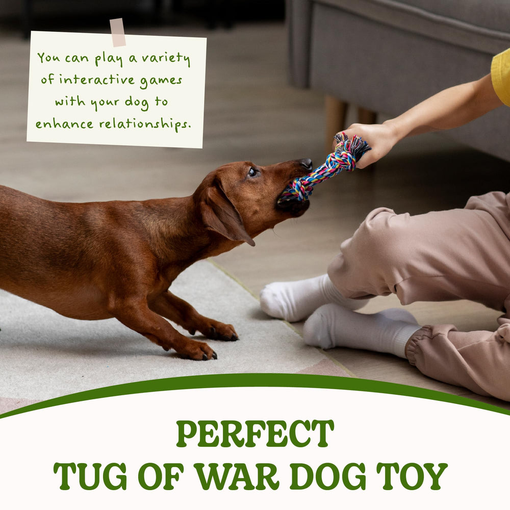 SHARLOVY interactive tug of war play image conveys bonding and exercise.