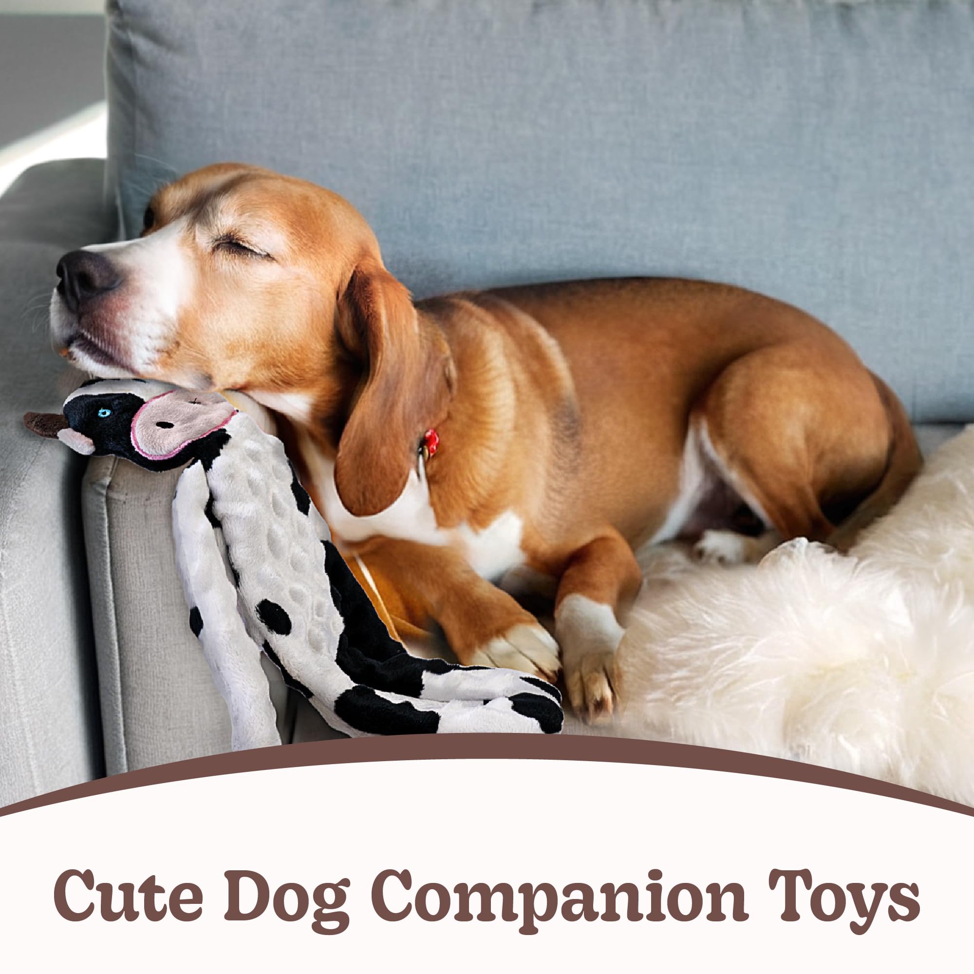 Sharlovy no stuffing dog toy pig gums friendly texture for teething and chewing.