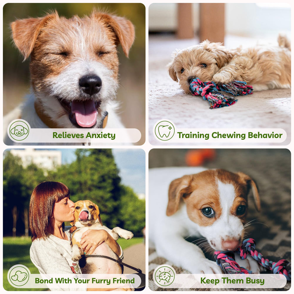 SHARLOVY puppy playtime rope toy ideal for bonding moments.