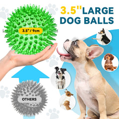 SHARLOVY squeaky dog ball with spikes keeps dogs engaged during outdoor fetch.