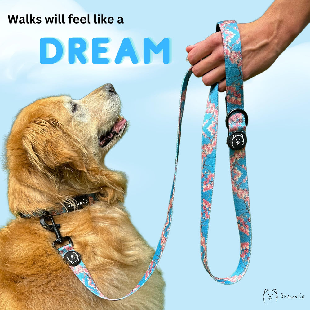 ShawnCo Dream Walk: manija acolchada de neopreno para mayor confort.