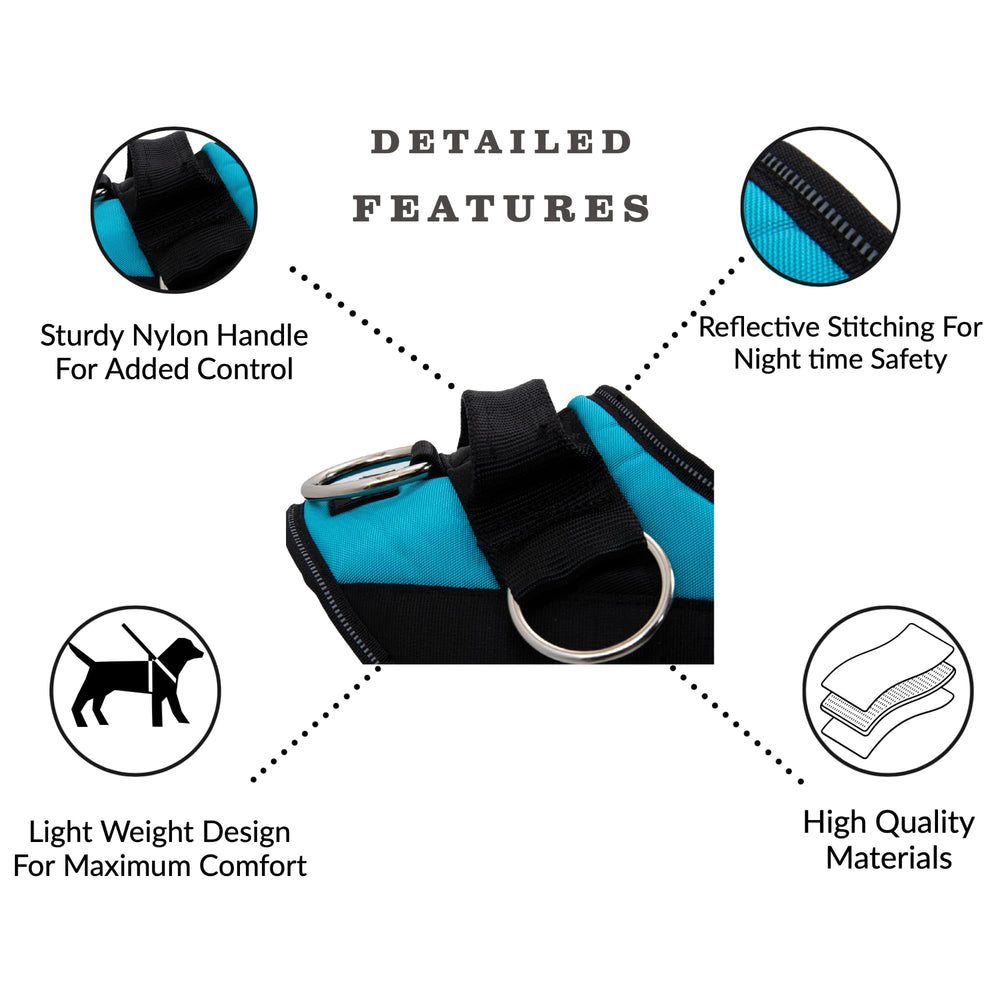 ShawnCo Essential Harness adjustable chest and belly straps for every dog size