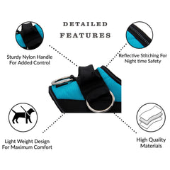 ShawnCo dog harness demonstrates quick-on design for fast, easy wearing