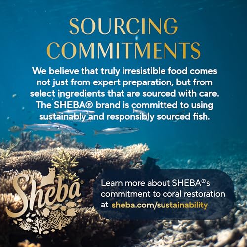 Sheba adult-cat meal setup showing balanced nutrition.