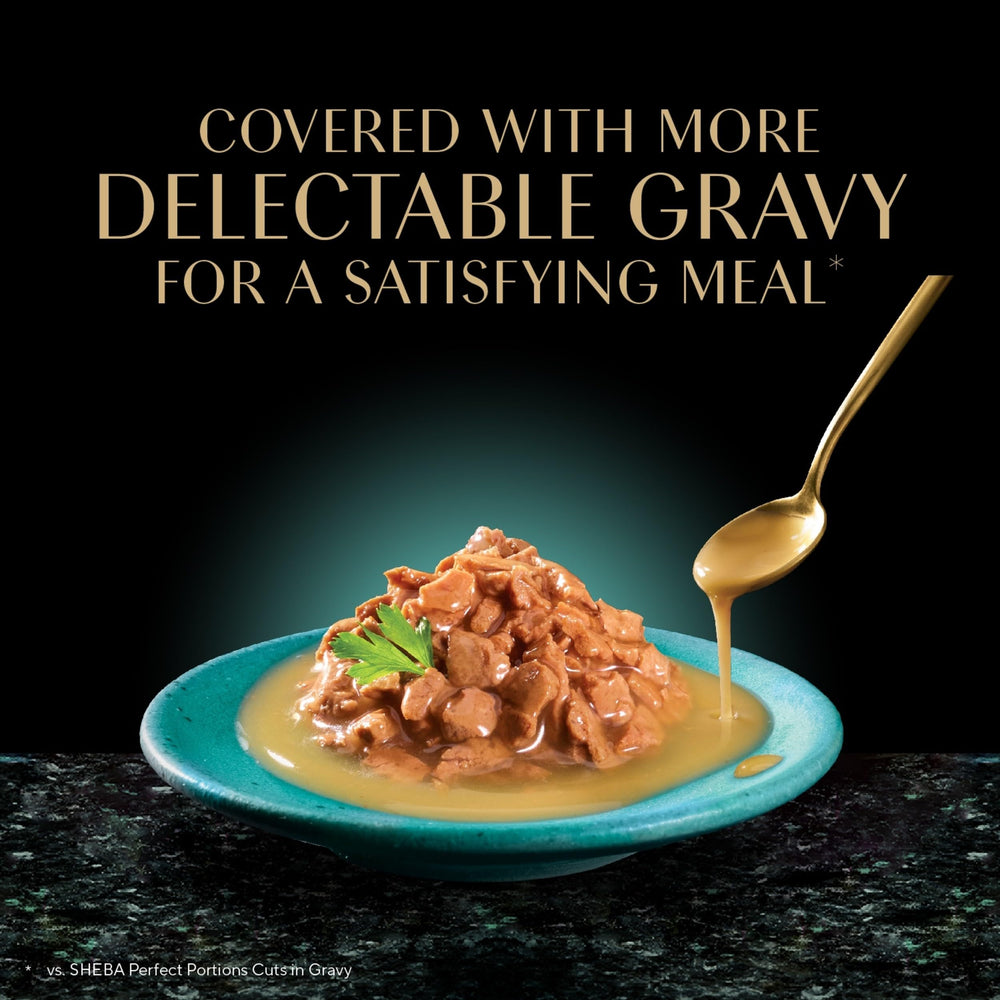 Sheba Gravy Indulgence adult cat enjoying chicken entree with protein-rich flavor