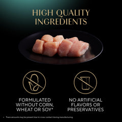 Sheba Perfect Portions tender turkey entree in gravy close-up, rich aroma.