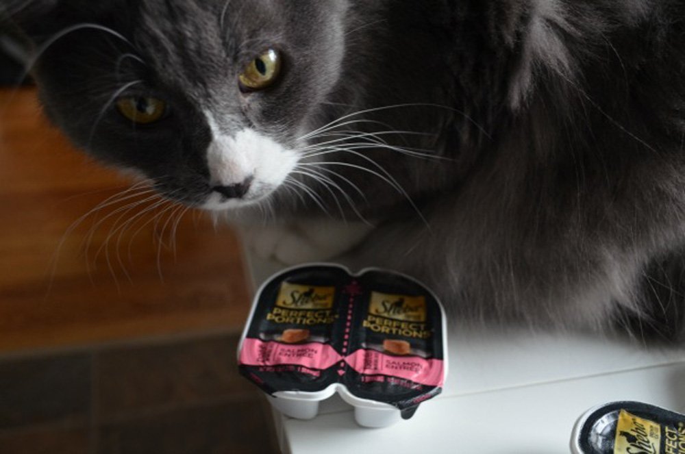 Sheba Perfect Portions twelve twin-pack front view for convenient daily feeding.