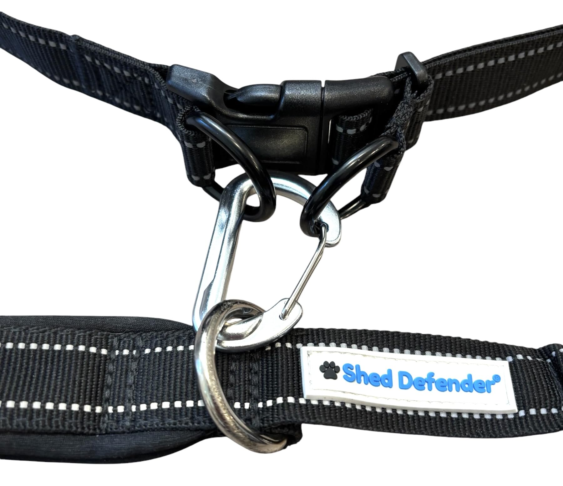 Shed Defender belt shows dual D-rings for extra leash security