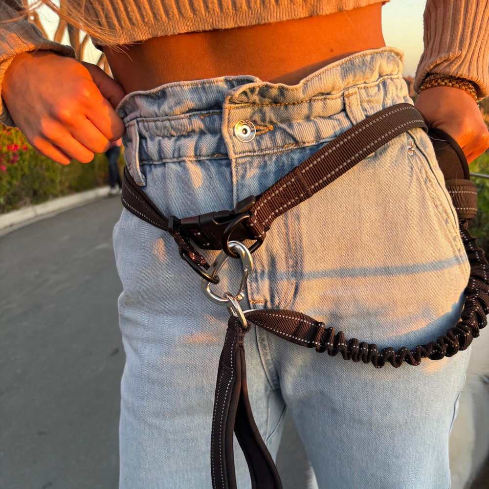 Shed Defender pink belt with reflective stitching for night visibility