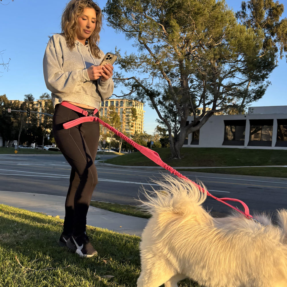 Shed Defender reflective stitching increases visibility during dusk or night jogs.