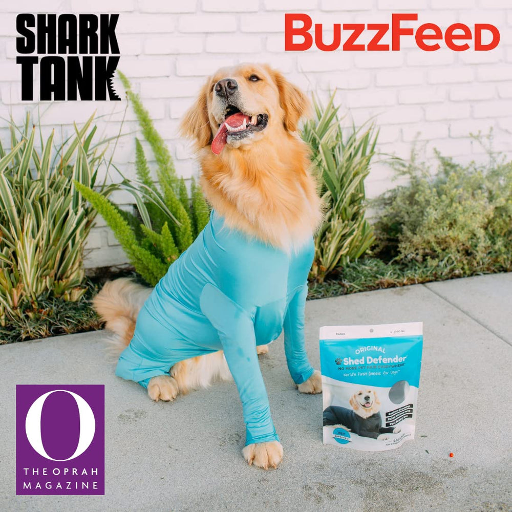 Shed Defender Sport on dog during hike shows durable coverage and reduced visible shedding.
