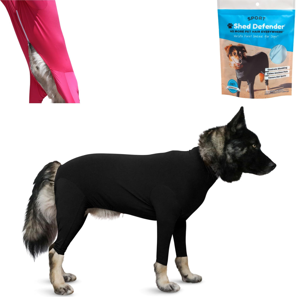 Shed Defender Sport dog onesie worn by a dog to contain shedding in the home