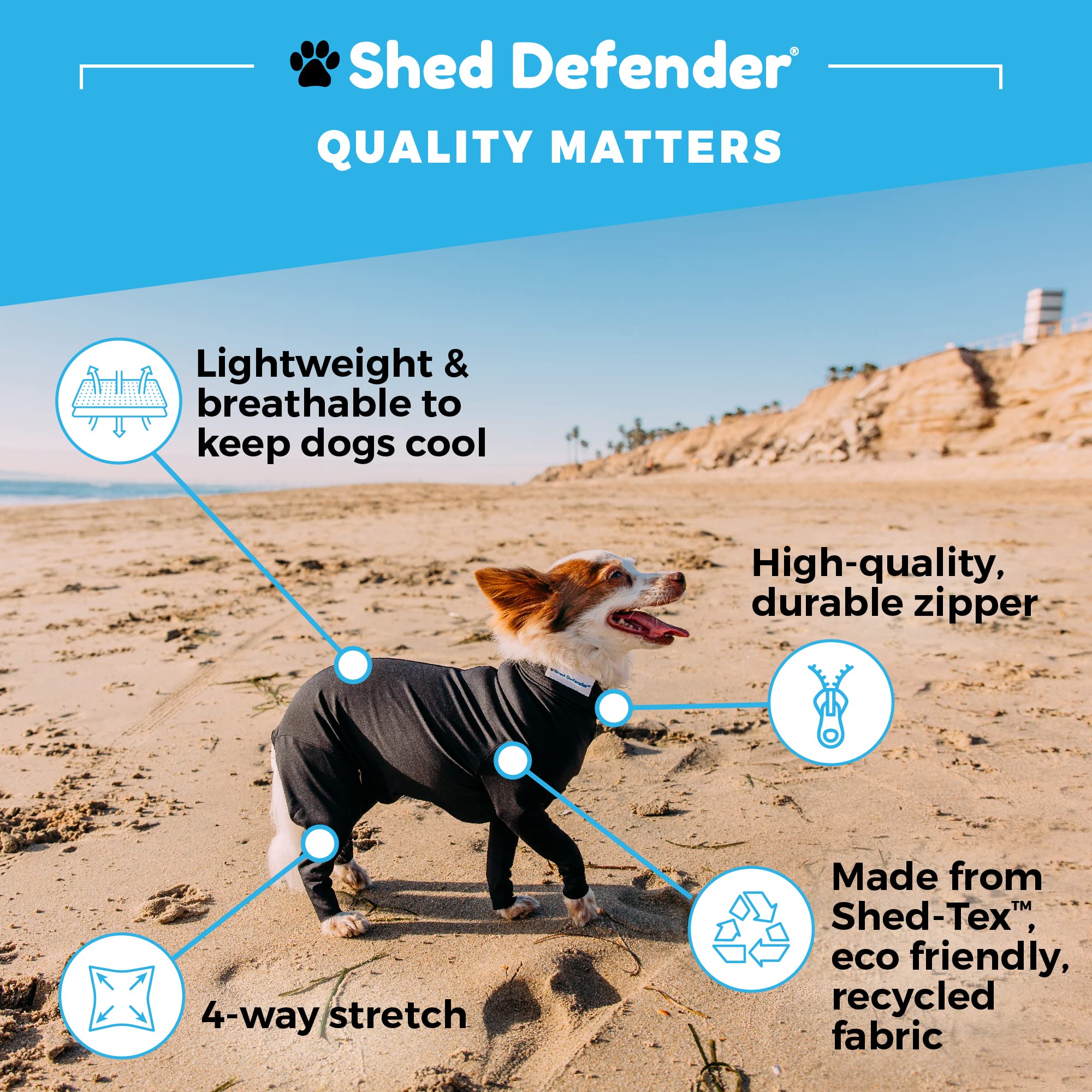 Shed Defender Sport dog onesie provides weather protection on a windy outdoor walk