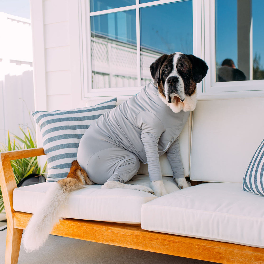 Paw It Forward program support with each Shed Defender Sport sale