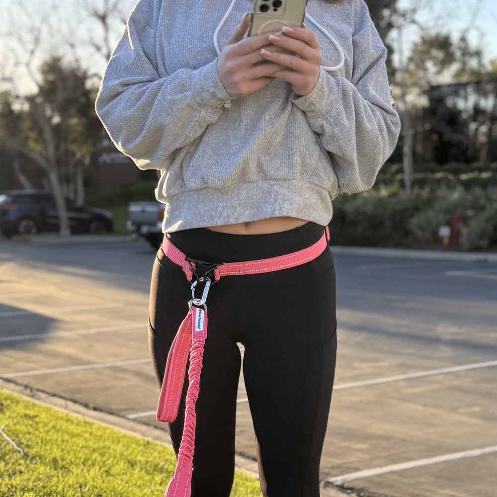 Shed Defender three-handle leash compatibility for precise traffic control.