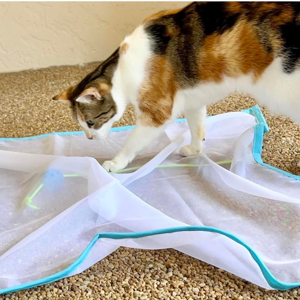 Sheer Fun For Cats 27x37-inch sheer fabric play setup shown in room.