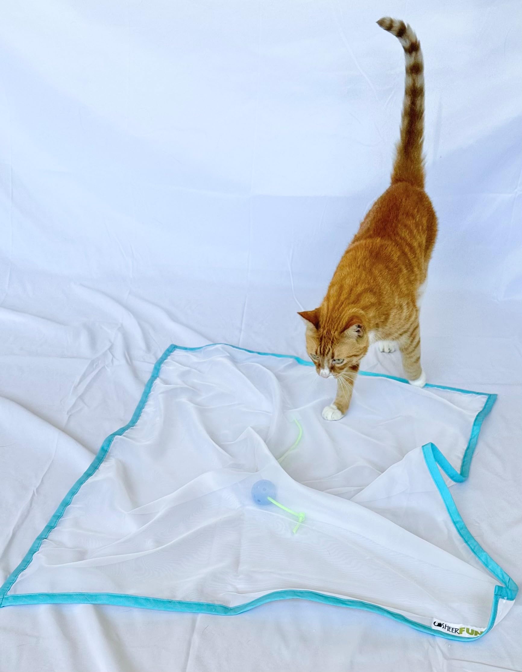 Sheer Fun For Cats blue and white colorway offers cozy play options.