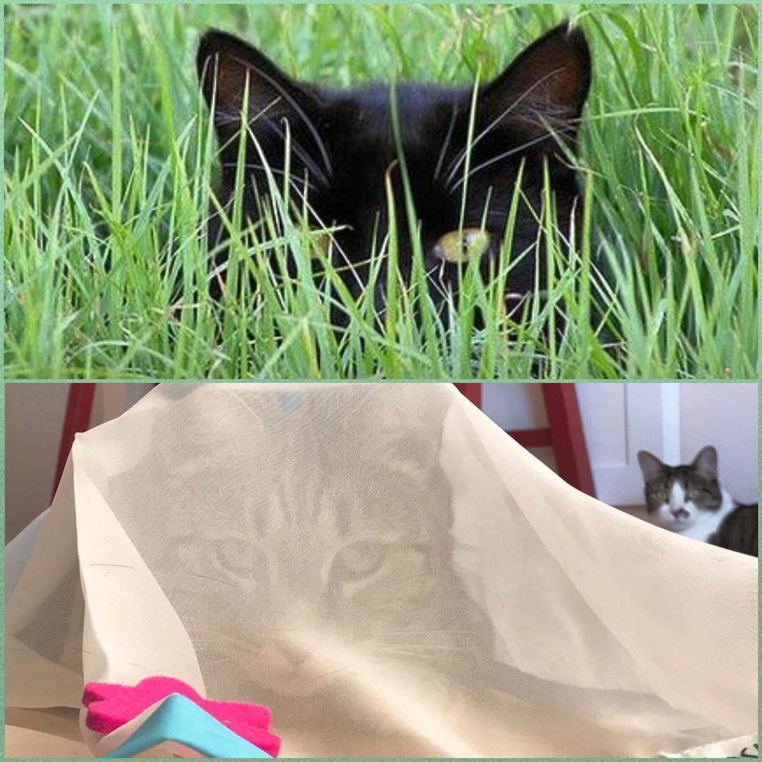 Sheer Fun For Cats USA-made Velcro fasteners shown for quick setup.