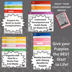 SHEFFIELD SS SHOP dam and puppy health records promote clear progress notes.