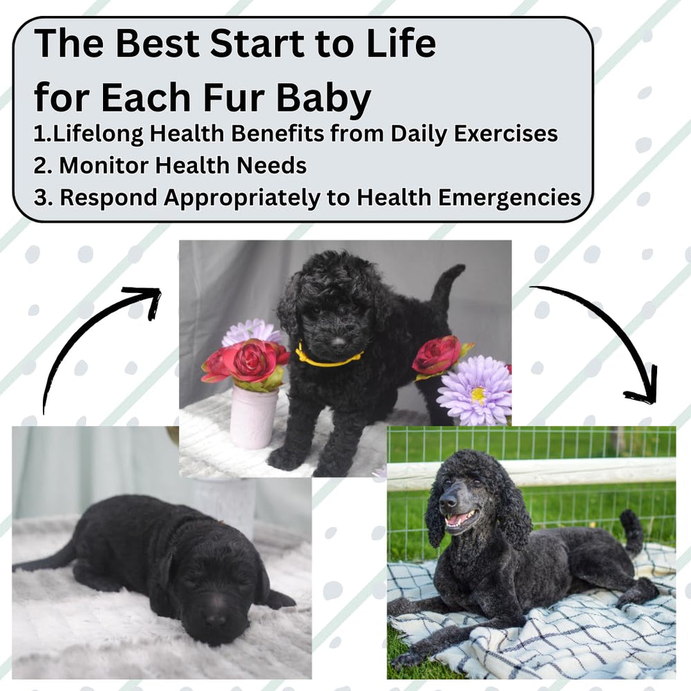 SHEFFIELD SS SHOP puppy weight log supports tracking growth.