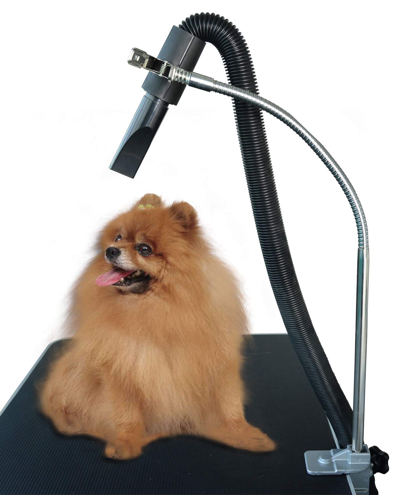 SHELANDY dryer hose holder top clamp keeps hose steady for hands-free grooming.