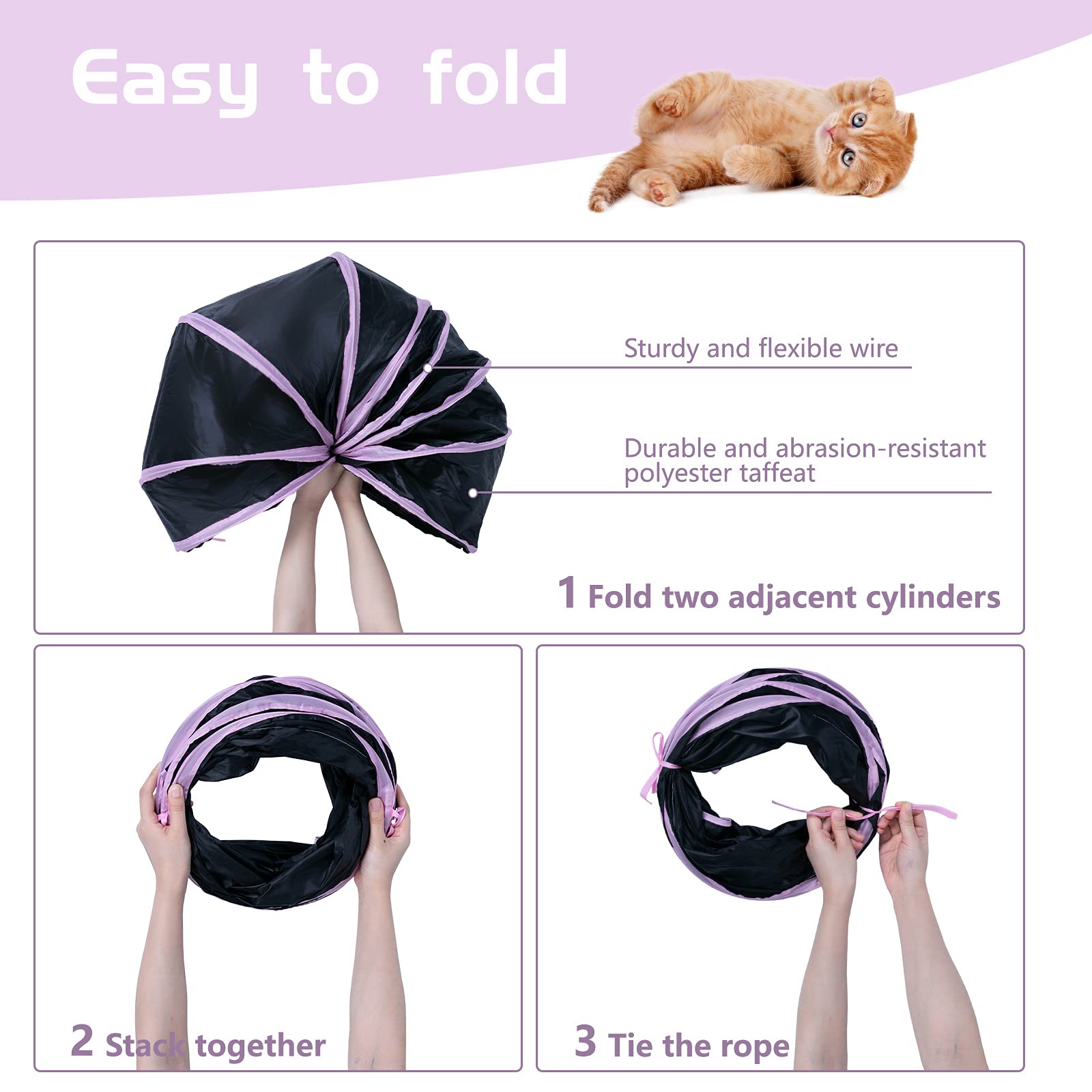 Skylight-entry view showing multiple access points for pets.