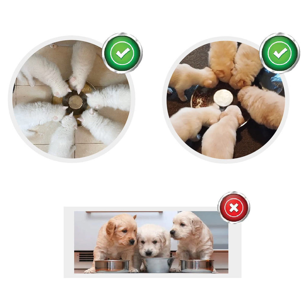 Sheldamy Puppy Bowl raised center design guides food to the outer rim.