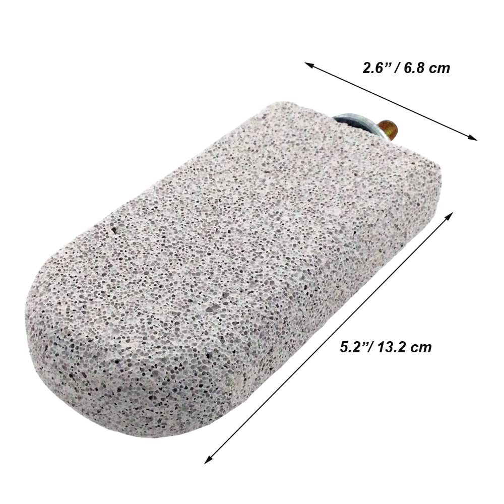 Shelltech pumice-lava-ledge closeup shows textured surface for gnawing