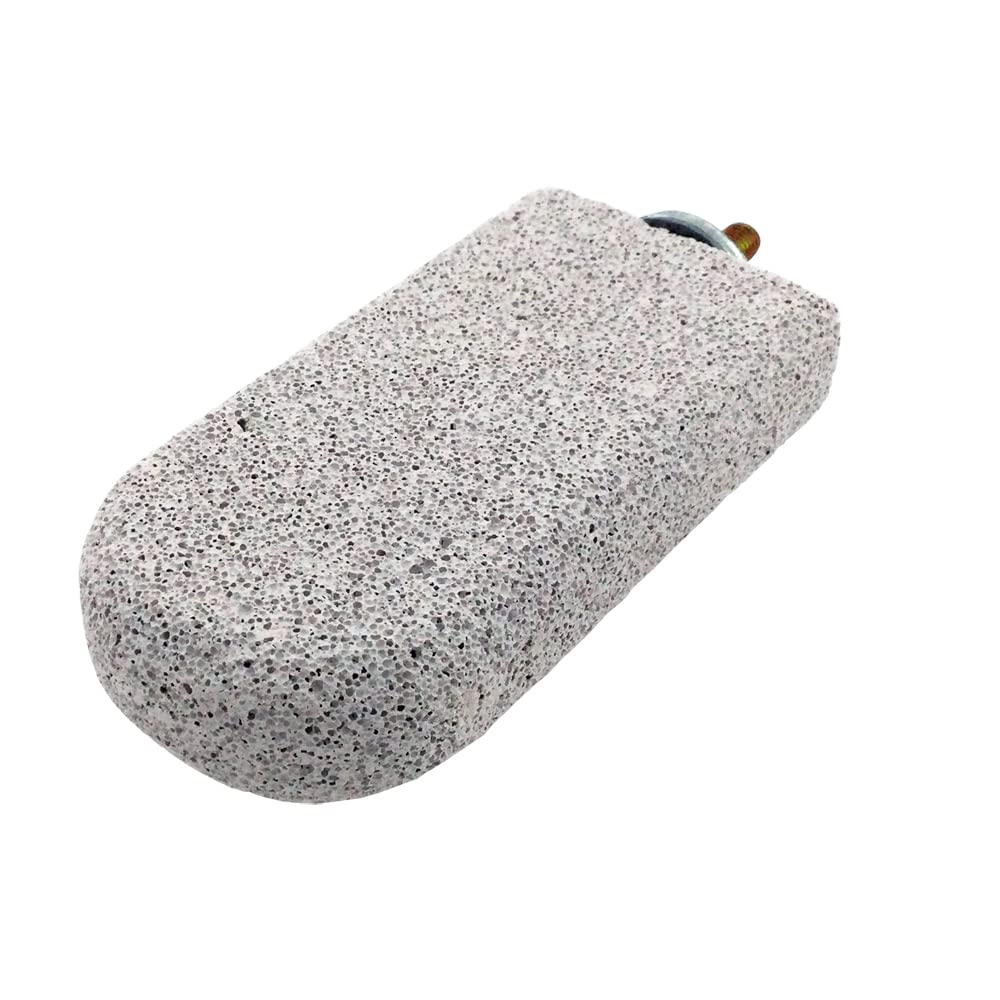 Shelltech pumice-ledge parrot-use highlights safe chewing and elevated view