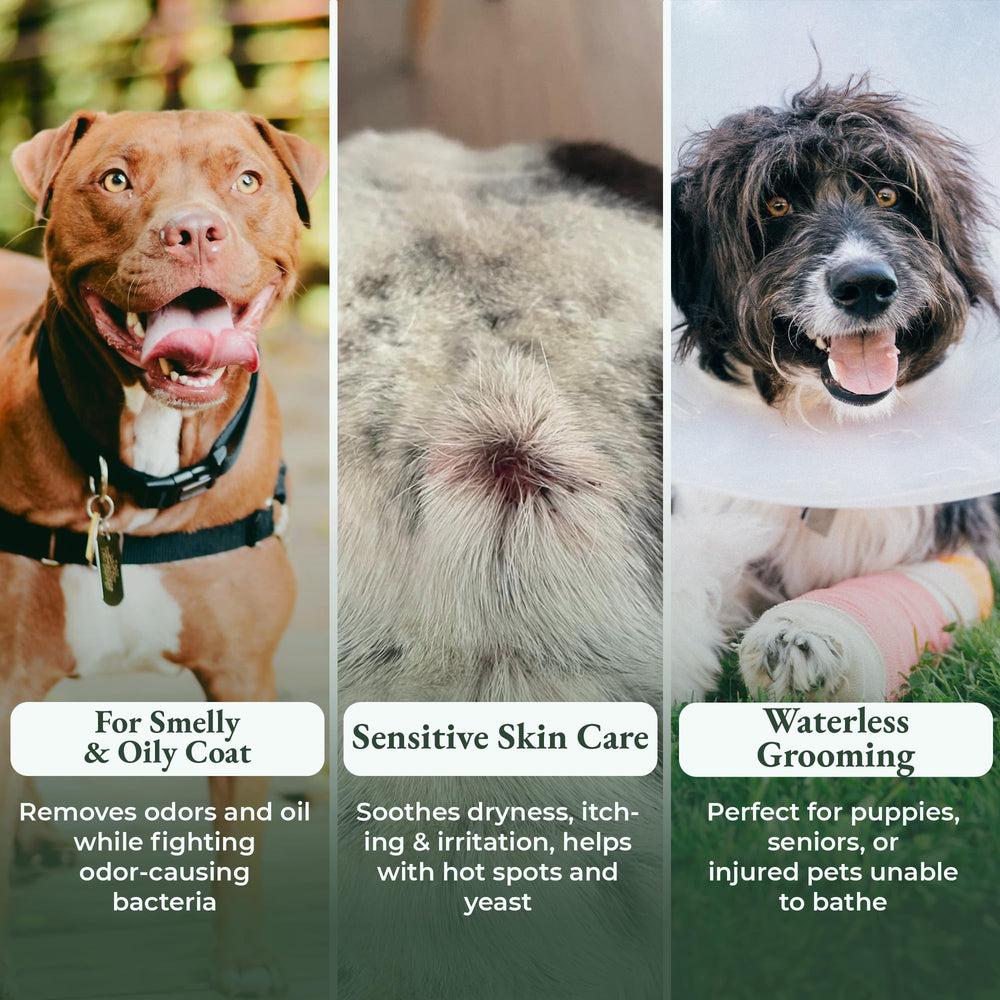 ShelterBaby astaxanthin-probiotics blend supports healthy skin and coat.