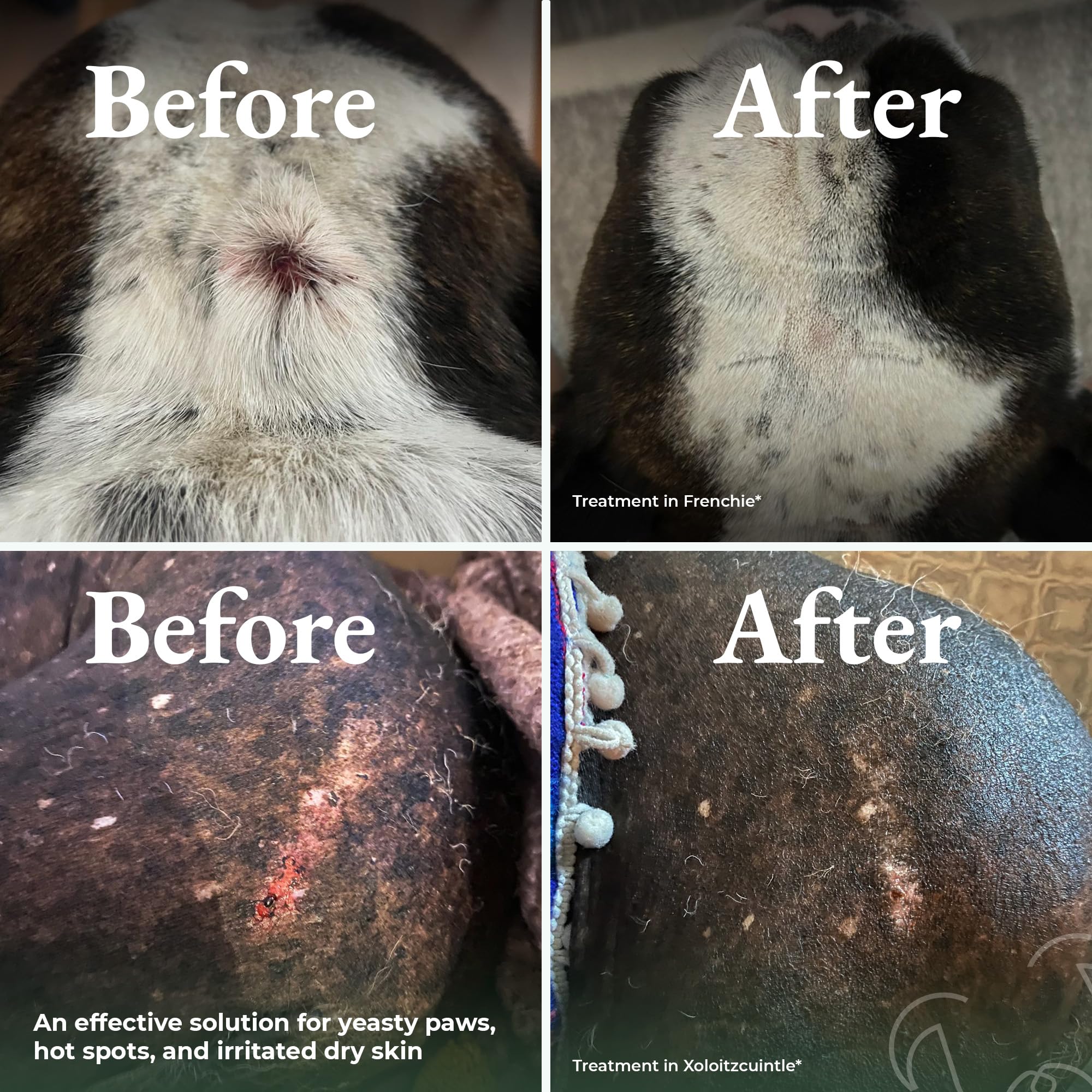 ShelterBaby no-mess application shows easy powder dust-on without sticky residue.