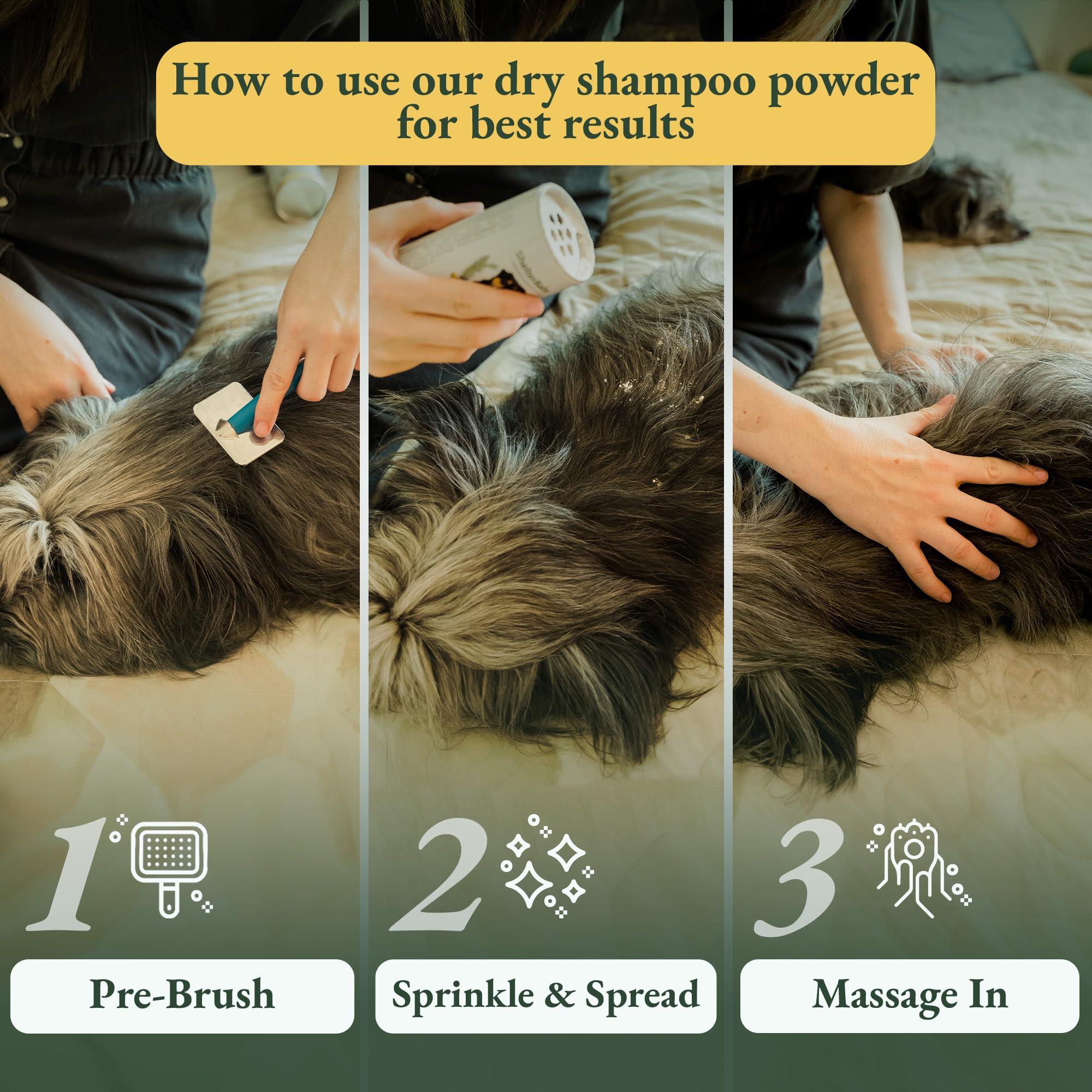 ShelterBaby paw-care focus eases red paws and irritation.