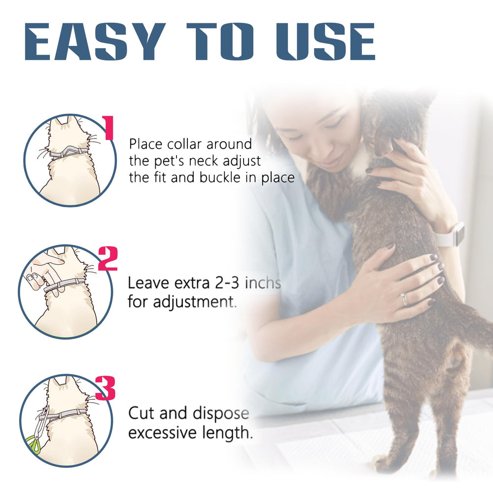 ShengKou waterproof collar shown in wet play conditions.