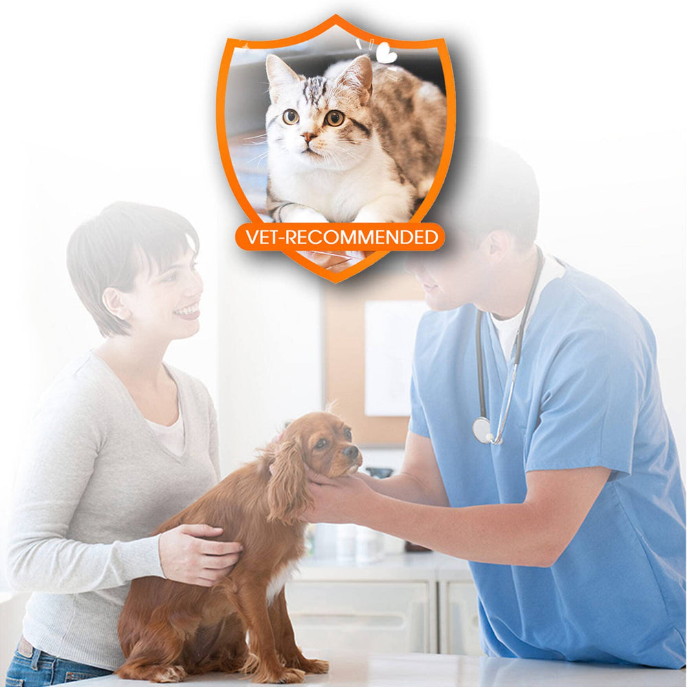 ShengKou kit on an outdoor-ready cat illustrates practical pest defense during daily explorations.