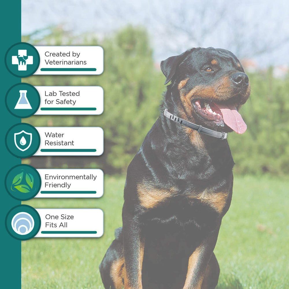 Close-up of ShengKou collar texture highlighting citronella-based formula