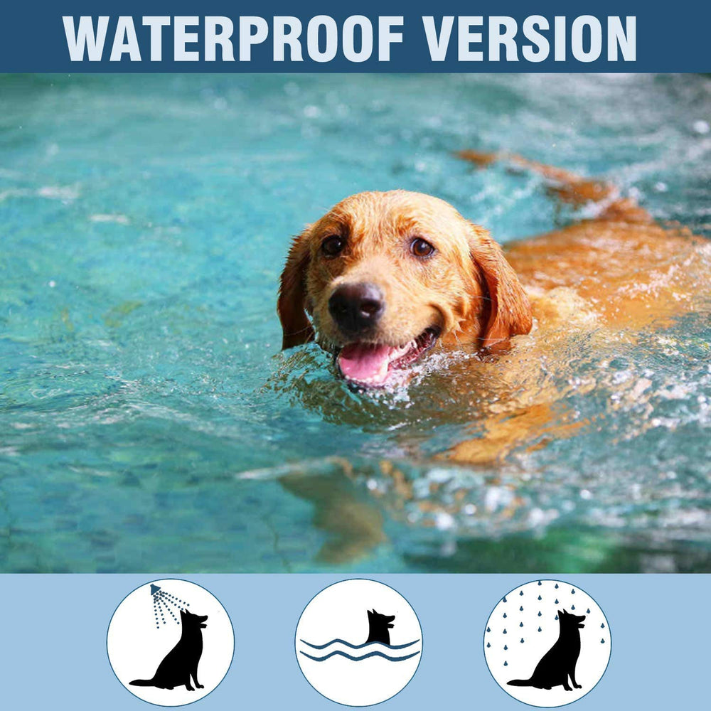 ShengKou collar worn by a dog in light rain showing durability