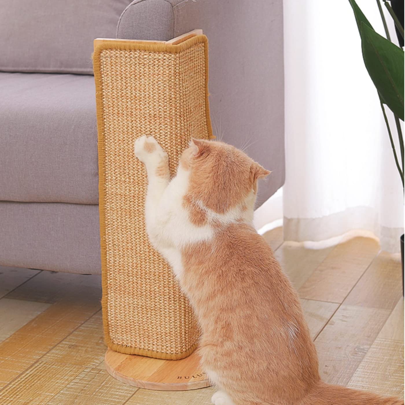 SHENGOCASE 2-pack corner scratch post height shows tall design for full stretches