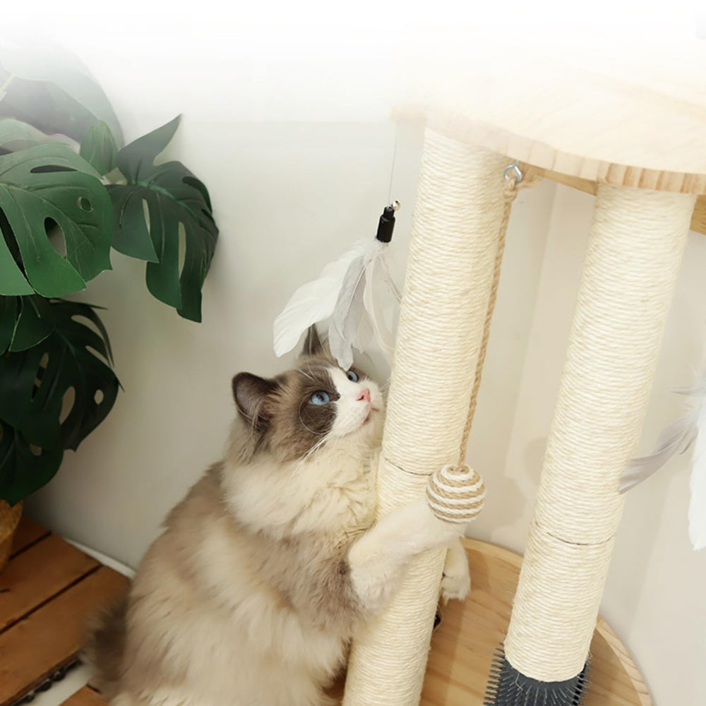 SHENGOCASE cat relaxing on shelf highlights a calm, elevated retreat.