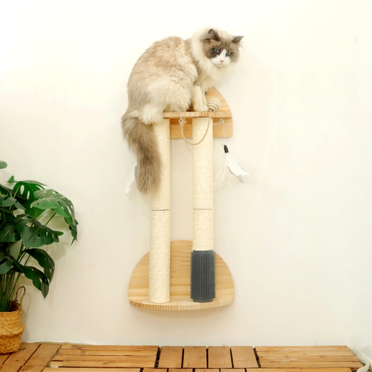 SHENGOCASE cat wall shelf perch closeup showing elevated lounging spot.