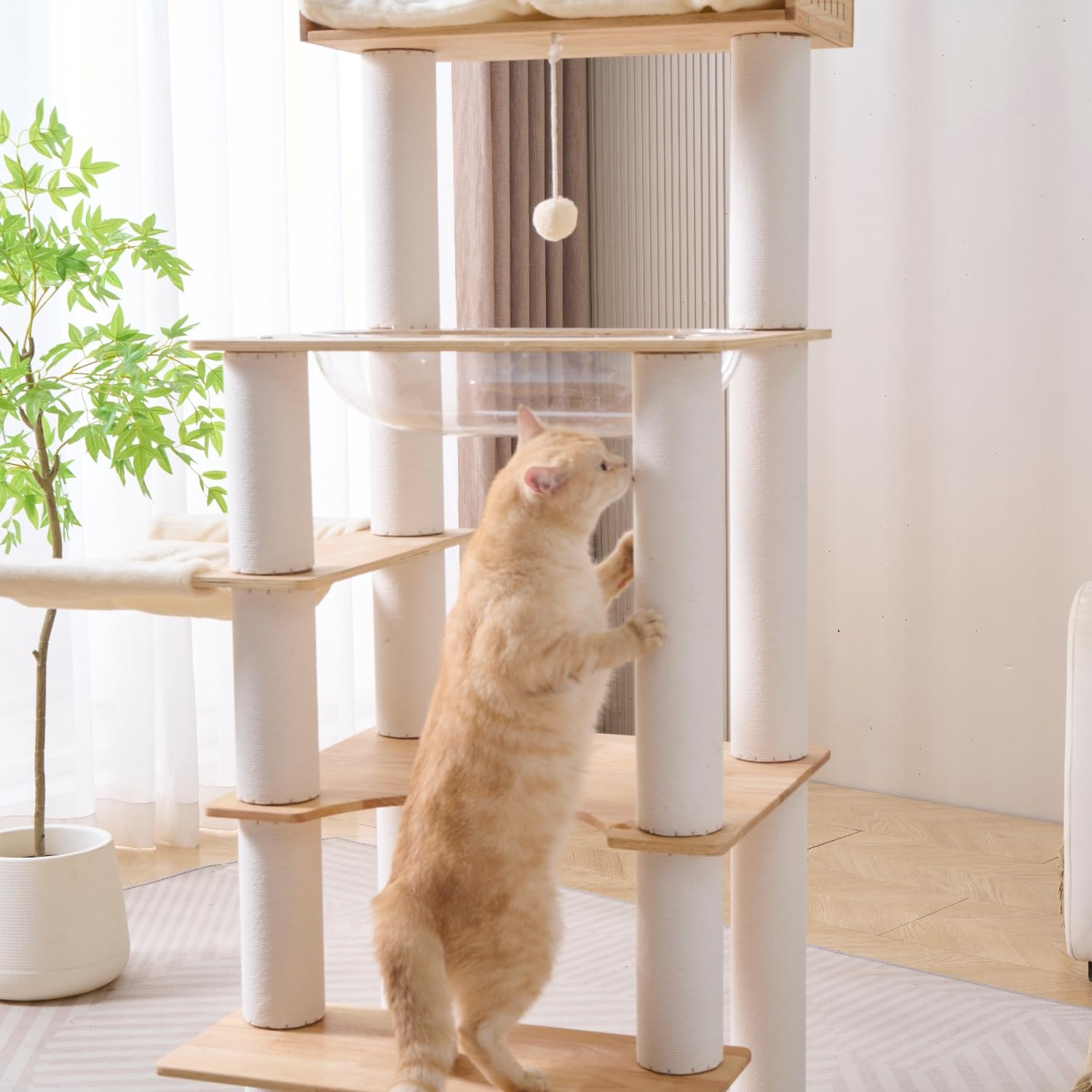 SHENGOCASE multi-cat-friendly levels invite several cats to play and rest