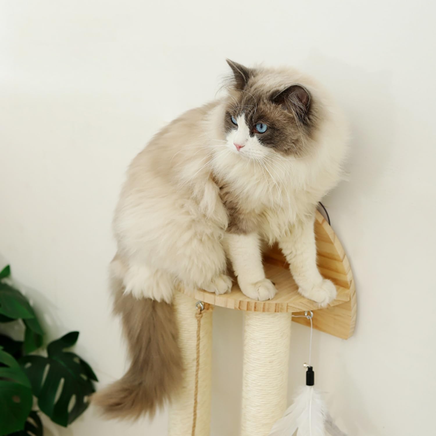SHENGOCASE space-saving cat furniture illustrates vertical design ideal for small spaces.