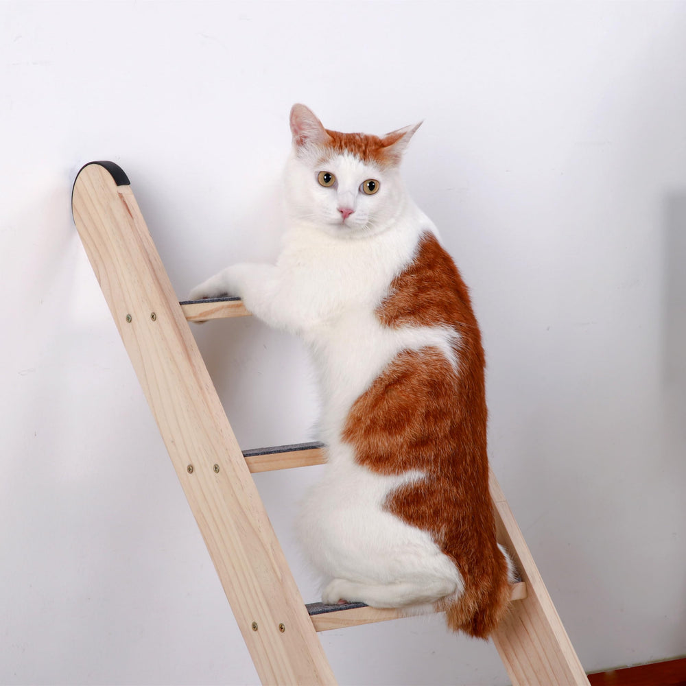 SHENGOCASE space-saving design fits narrow spaces while giving cats a vertical playground.