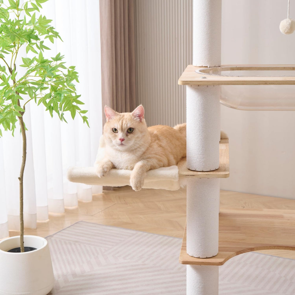 SHENGOCASE top-platform view highlights oversized perches for Maine Coon cats