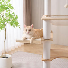 SHENGOCASE top-platform view highlights oversized perches for Maine Coon cats