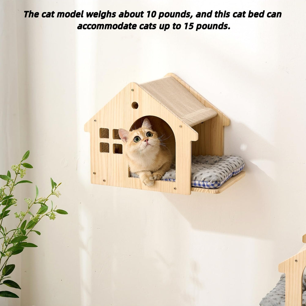 SHENGOCASE two wall houses with cushions provide cozy nap and hide spots.