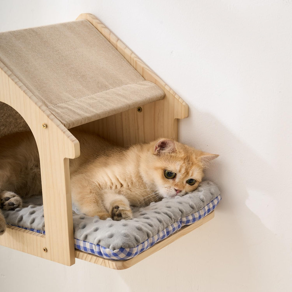 SHENGOCASE wall-mounted cat perch installation-ready for vertical space