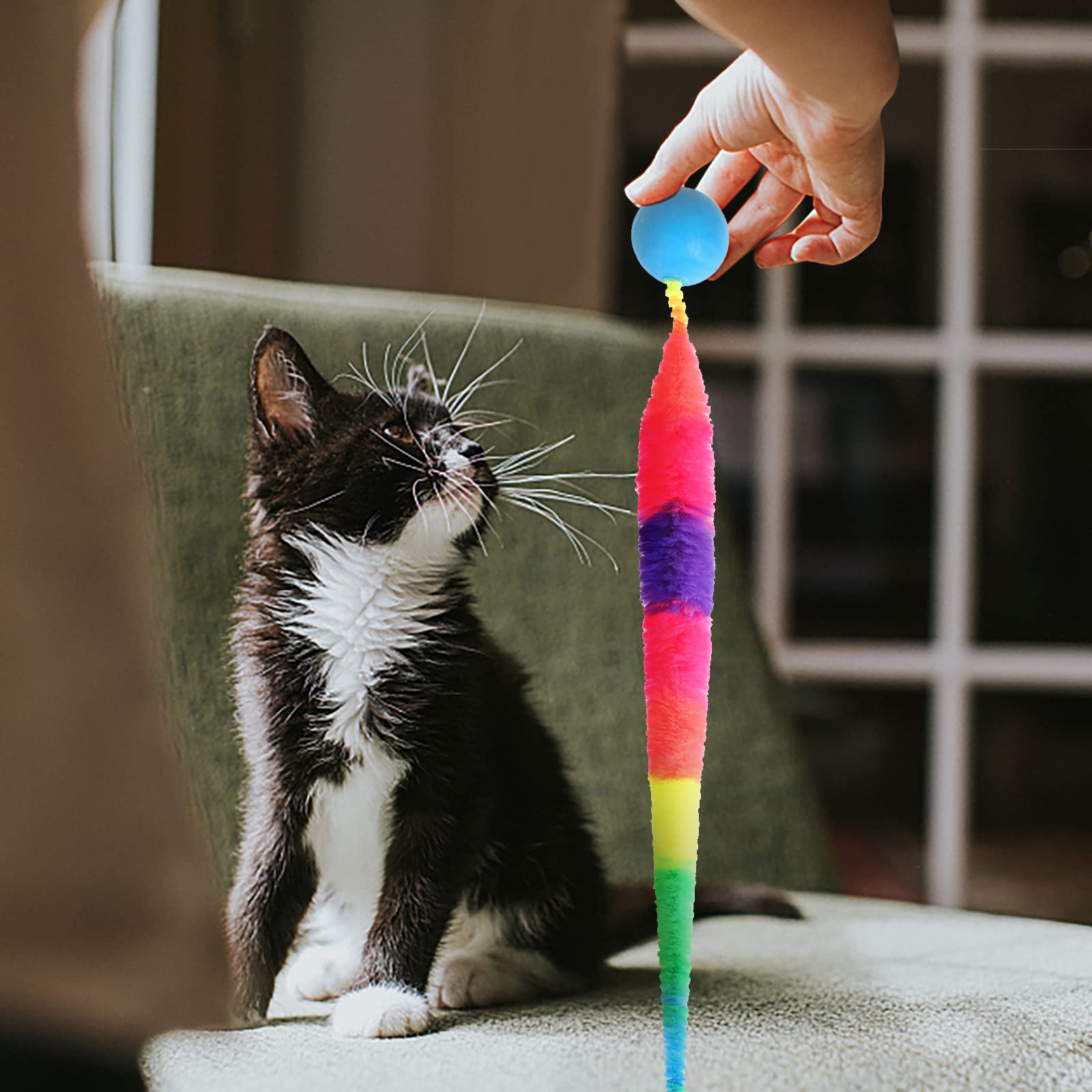 SHENGSEN durable material close-up shows long-lasting play for active cats